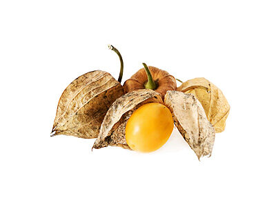 Physalis Kolumbie 12ks 100g