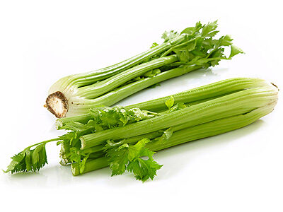 Celer řapíkatý EXTRA Itálie na váhu